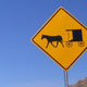 Illustration for article titled Michigan Man Starts Amish Uber With Horse and Buggy
